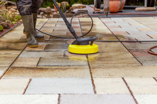 Animal Enclosure Cleaning in Bonny Doon, CA